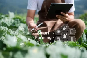 agricultural-technology-farmer-man-using-tablet-computer-analyzing-data-morning-image-icon